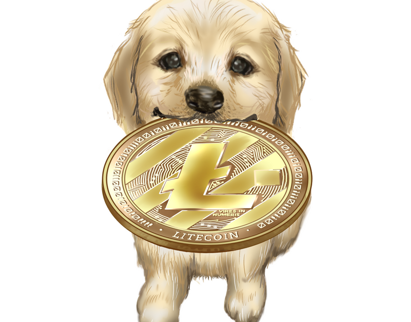 Nft Inu with LITE Coin