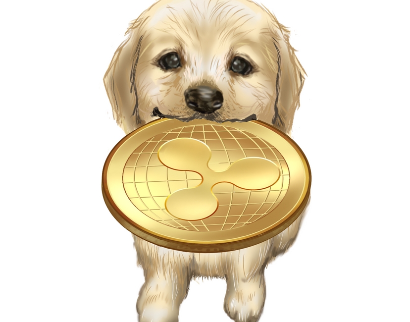 Nft Inu with XRP