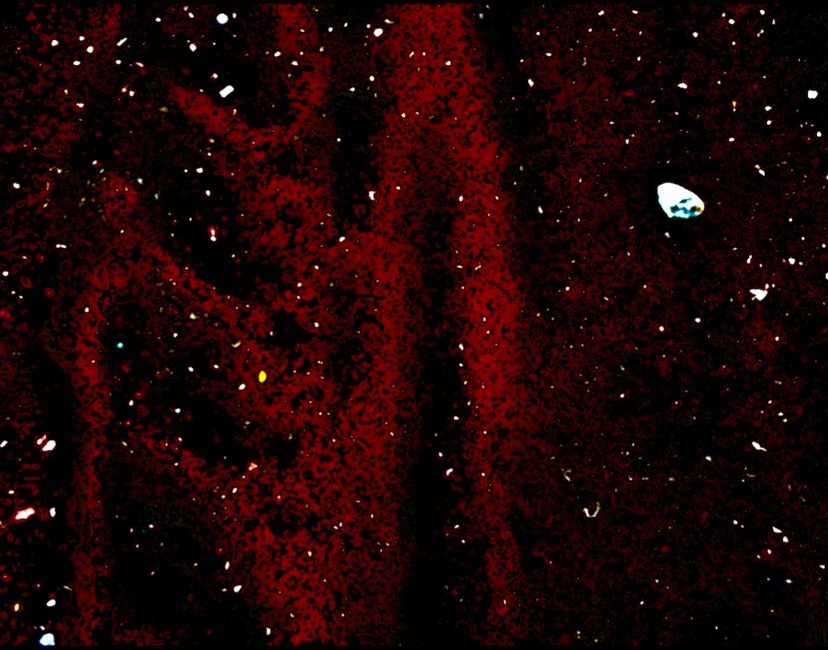 Nft Galaxy Universe