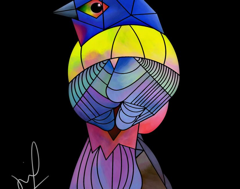 Nft Bird 🐦