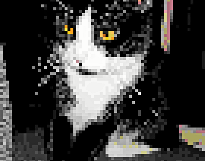 Nft Hunting Cat| Pixel cat #03