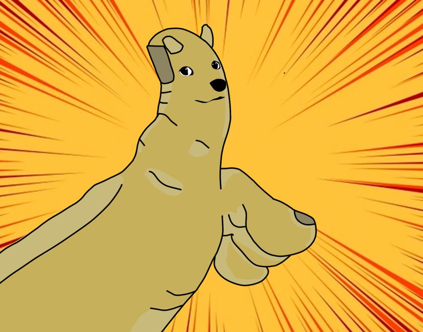 Nft DogeFoot