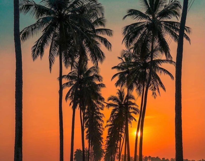 Nft Sunset 