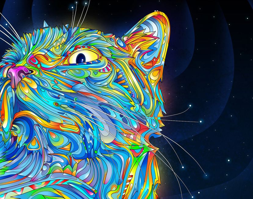 Nft Colorful cat