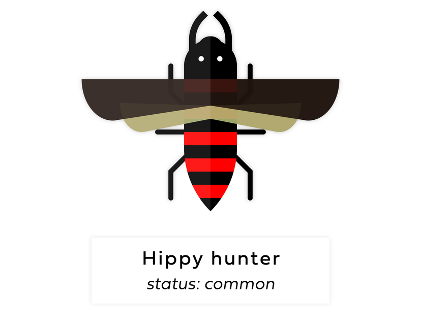 Nft Digi bug #50