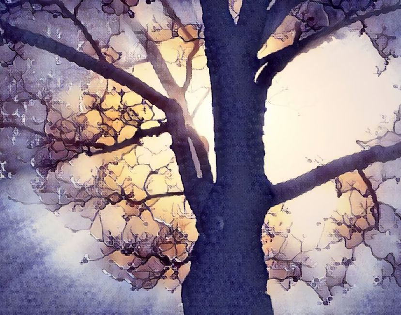 Nft Distant Inhabit