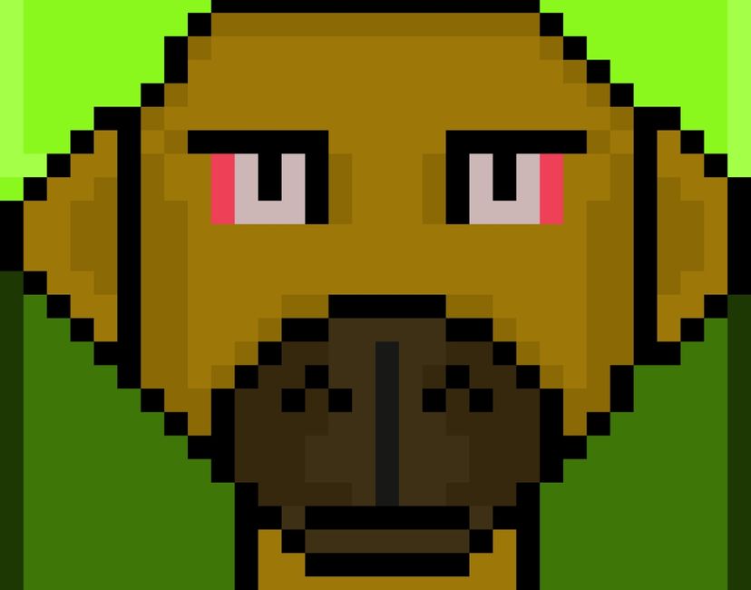 Nft Dog punk 1