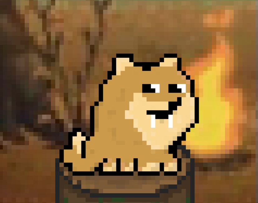 Nft Doge #50
