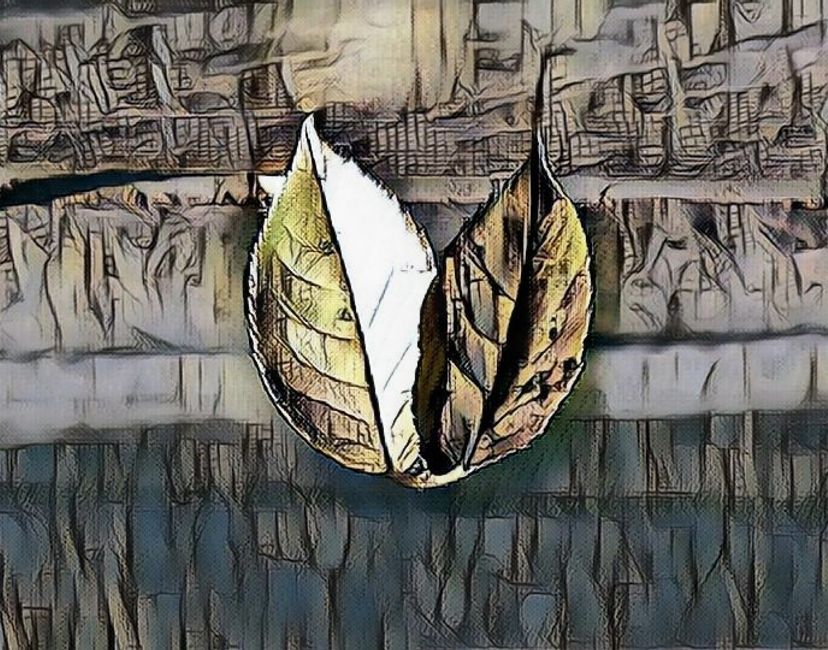 Nft Lucky Leaves