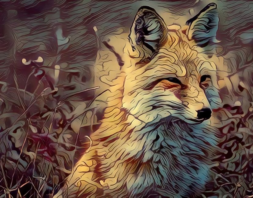 Nft Surrealism Fox