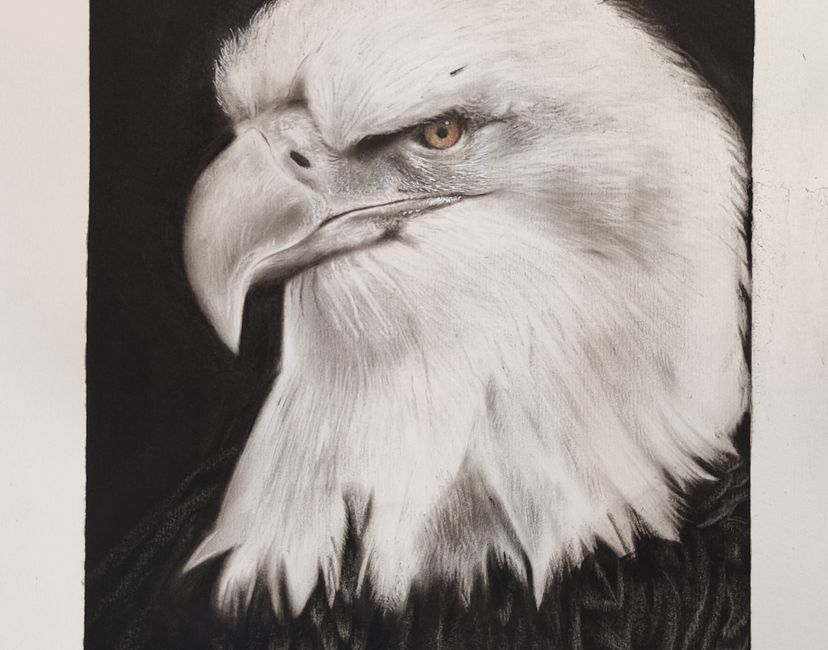 Nft Eagle
