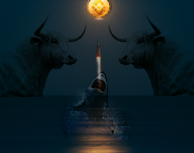 Nft Bnb to the moon 