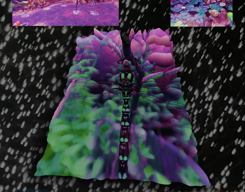 Nft The Trippy Trip #1