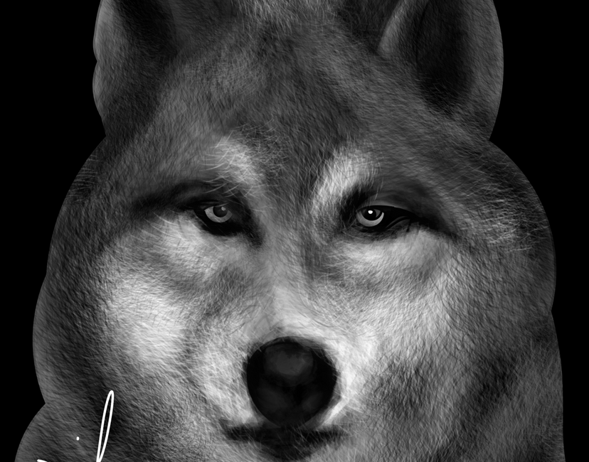 Nft Wolf from pluto 