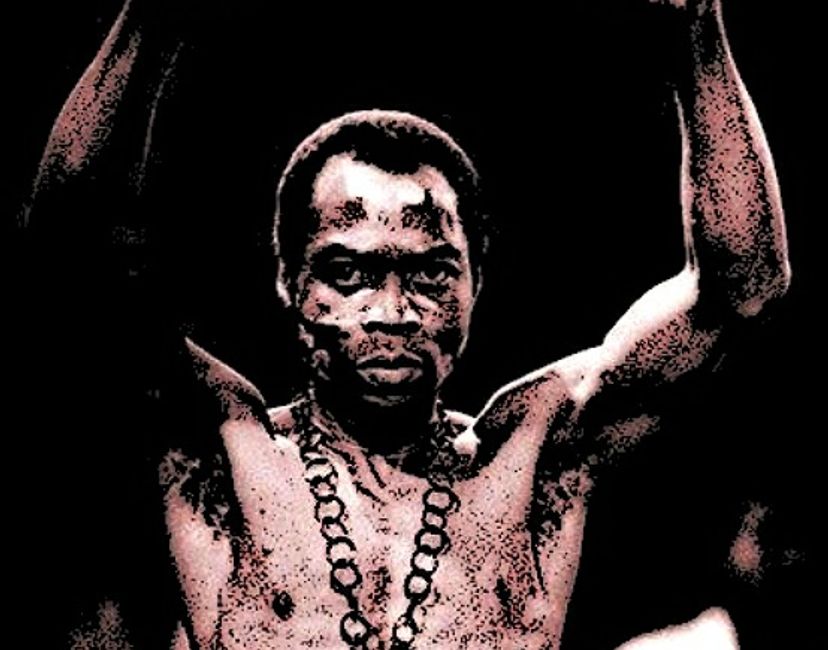 Nft Fela