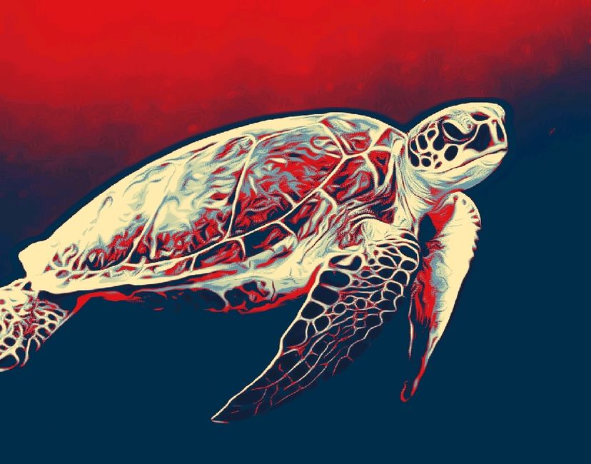 Nft Red Turtle
