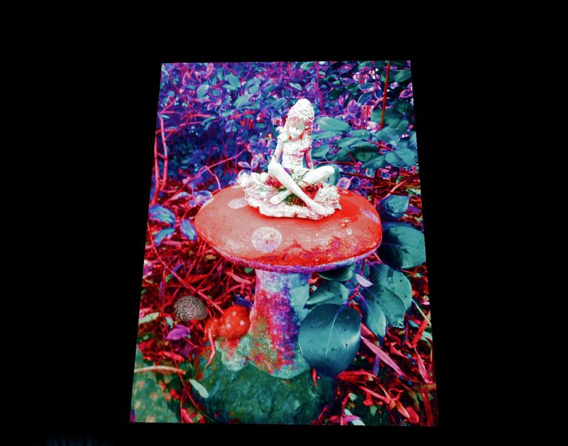 Nft MGBM Artworks Fairies#3