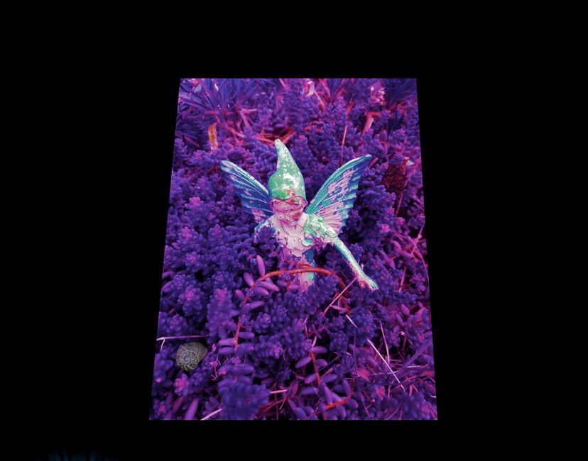 Nft MGBM Fairies#5 Safer Alone