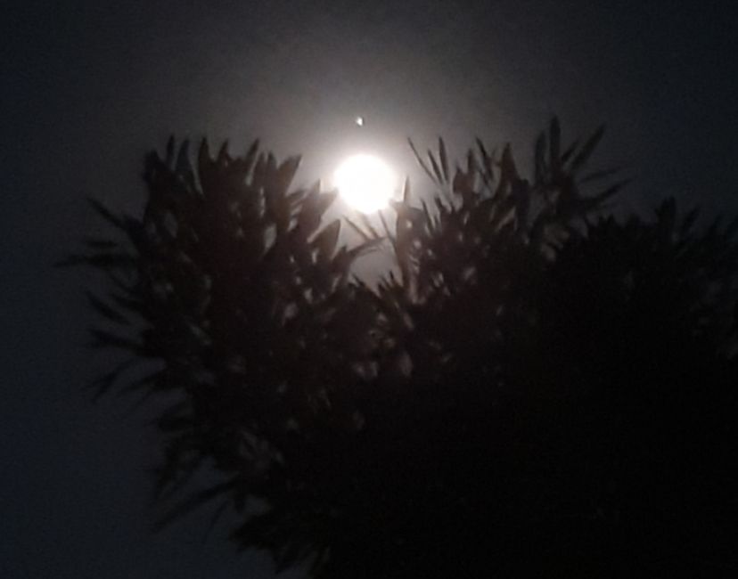 Nft Mystic Night