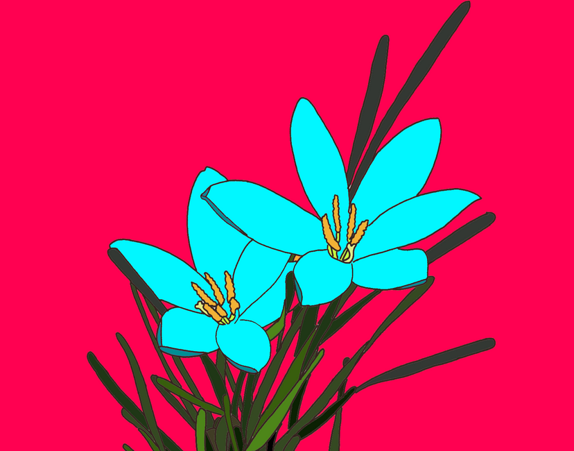 Nft Rain lily