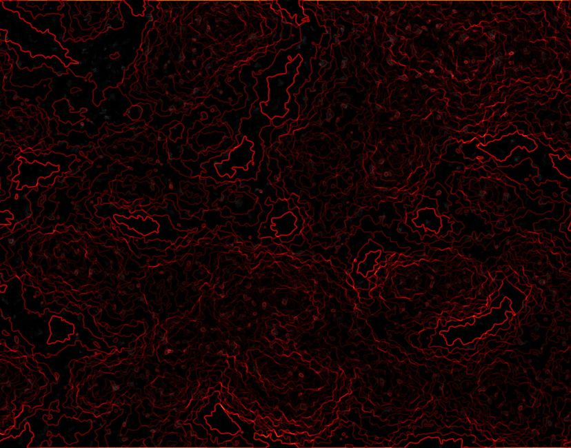Nft Quantum fluctuations