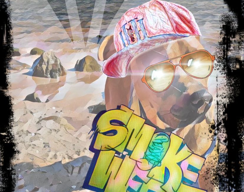 Nft Rasta doge