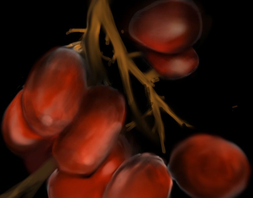 Nft Midnight Grapes 