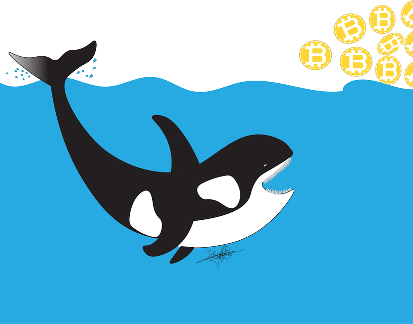 Hungry Whale NFT Collection Airnfts hungry-whale-nft-collection-airnfts