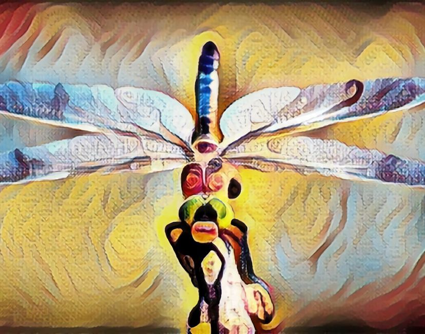 Nft Air Dragon-Fly