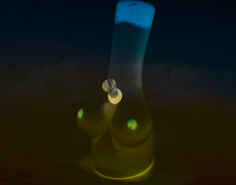 Nft Bongs n boobs