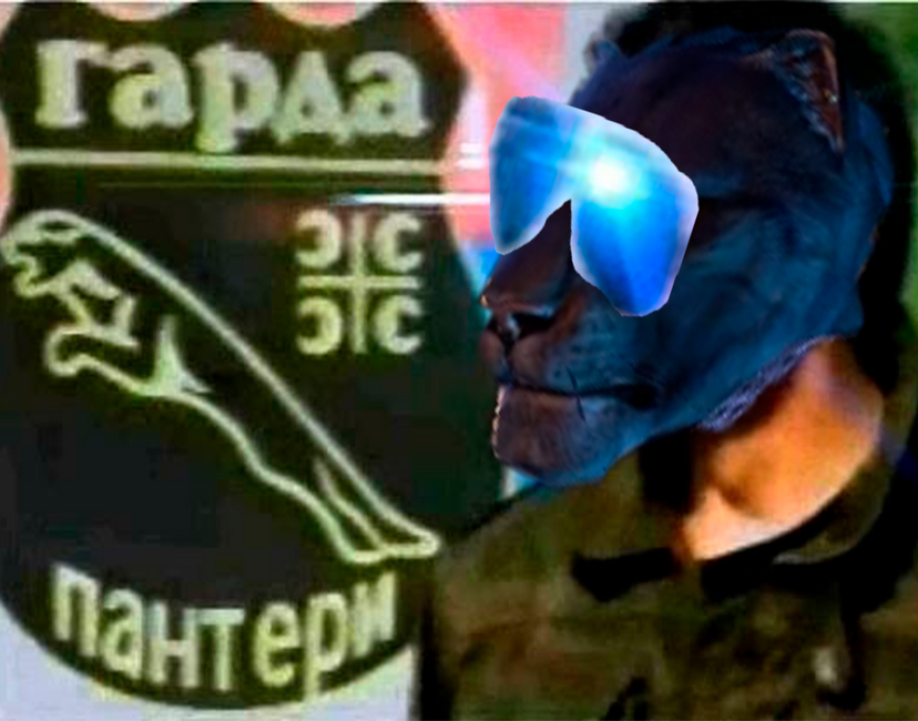 Nft Garda Panteri