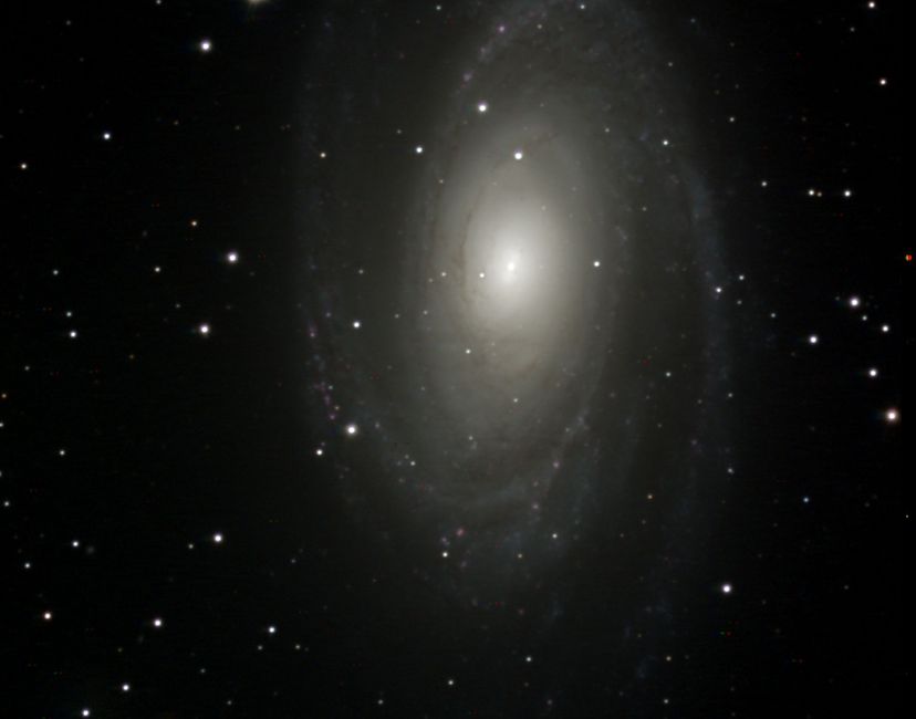 Nft M81
