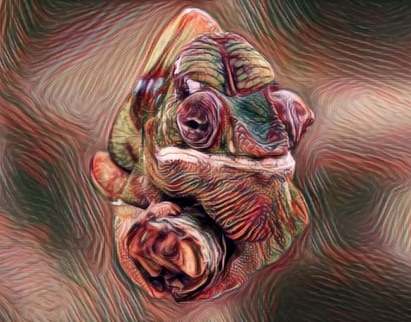 Nft Mimetic In Trance