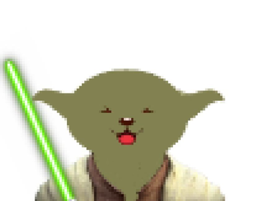 Nft Master Kishu