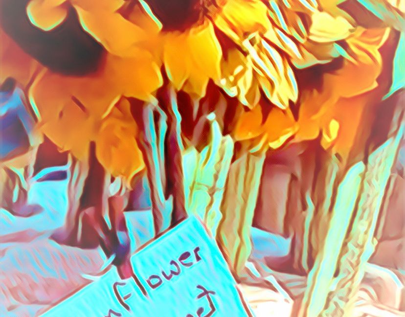 Nft Sunflower Boquet