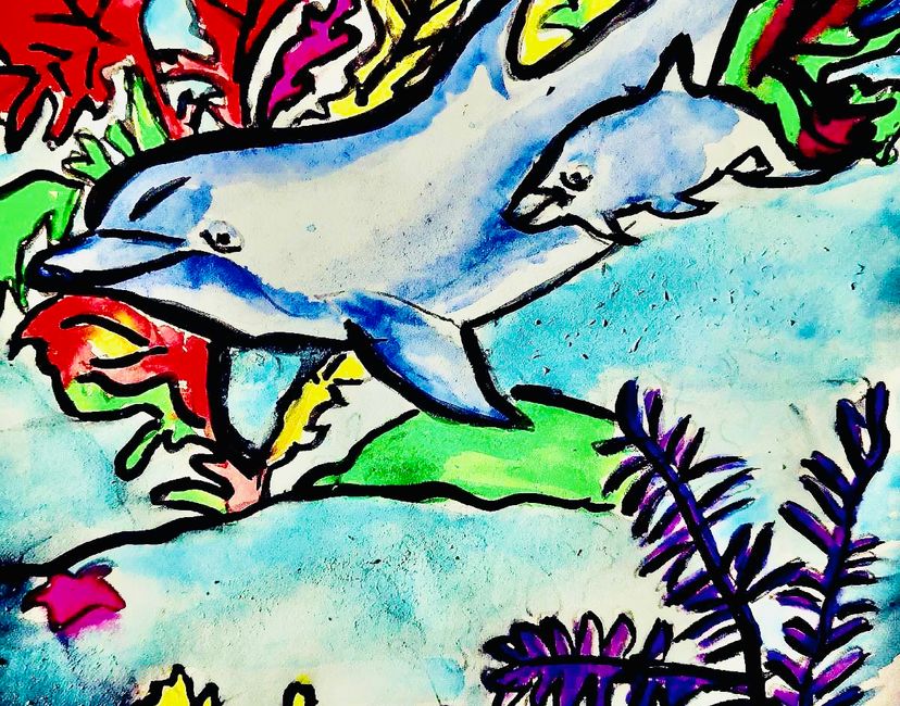 Nft Dolphin 🐬 