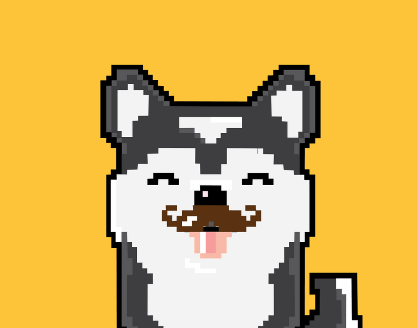 Nft SHIBA INU 6/50