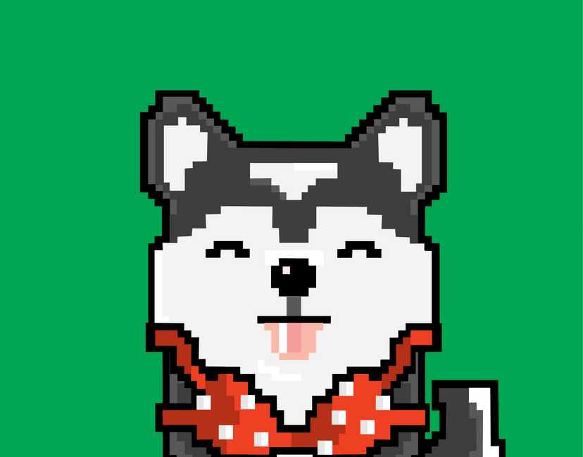 Nft SHIBA INU 11/50