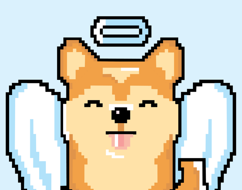 Nft SHIBA INU 9/50