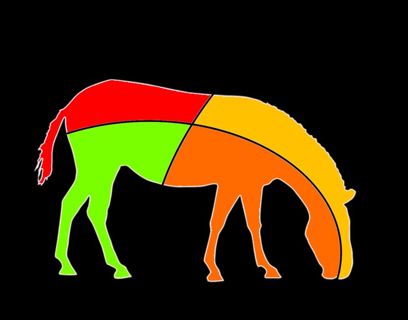 Nft Animal 8