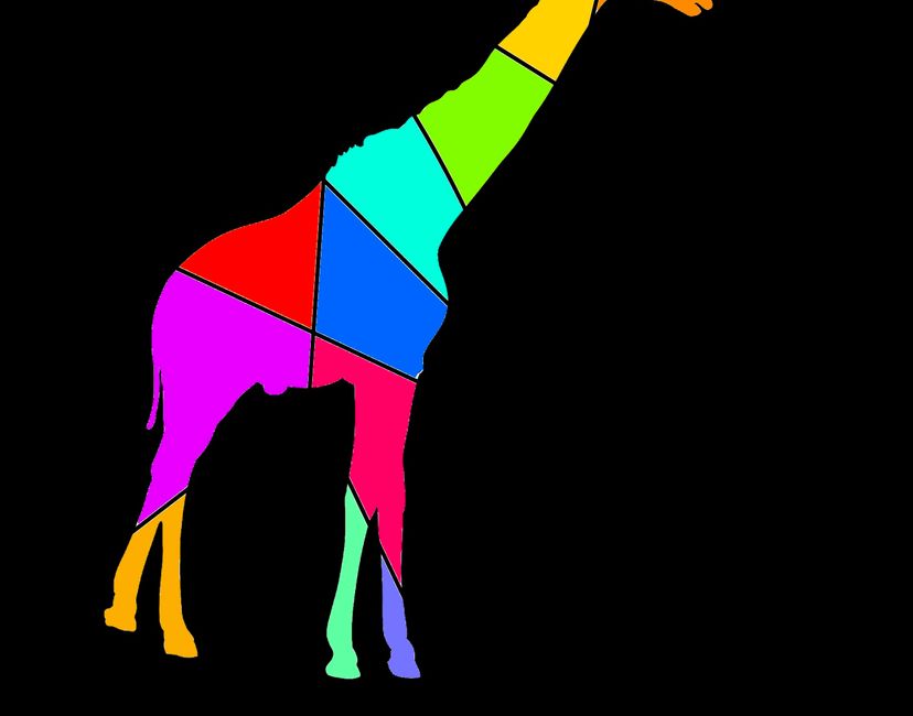 Nft Animal 11