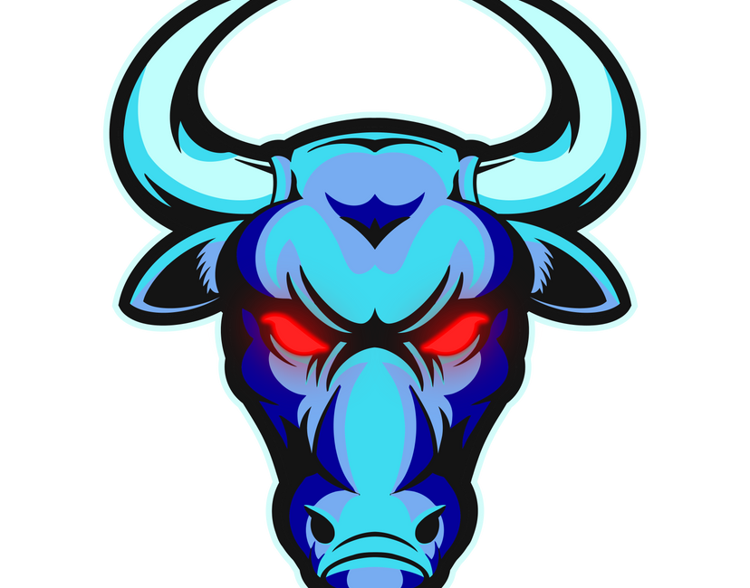 Nft Frozen Bullruner