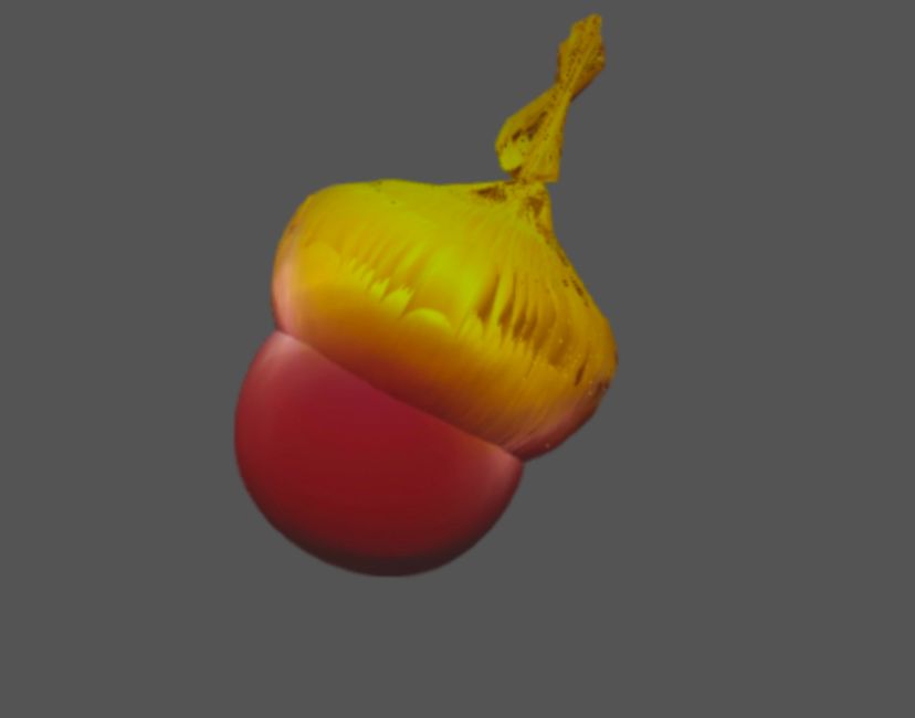 Nft Acorn 