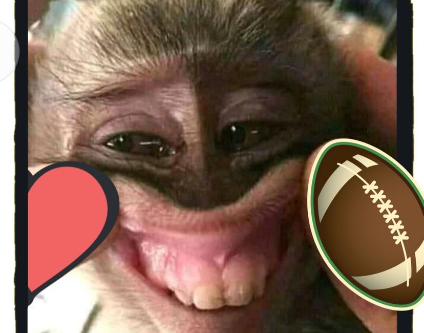 Nft SMILING APE