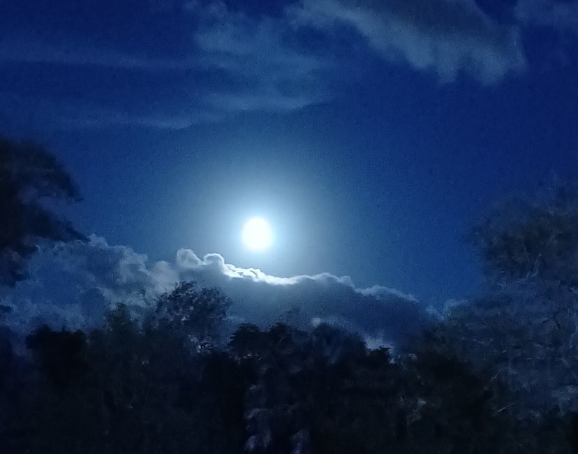 Nft See You On The Moon