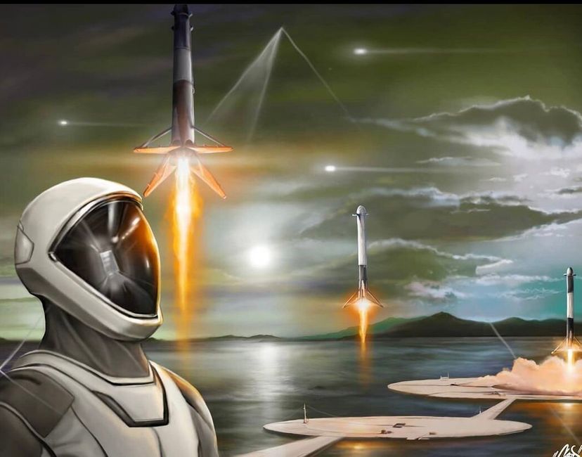 Nft Elon coins to the moon 1/4