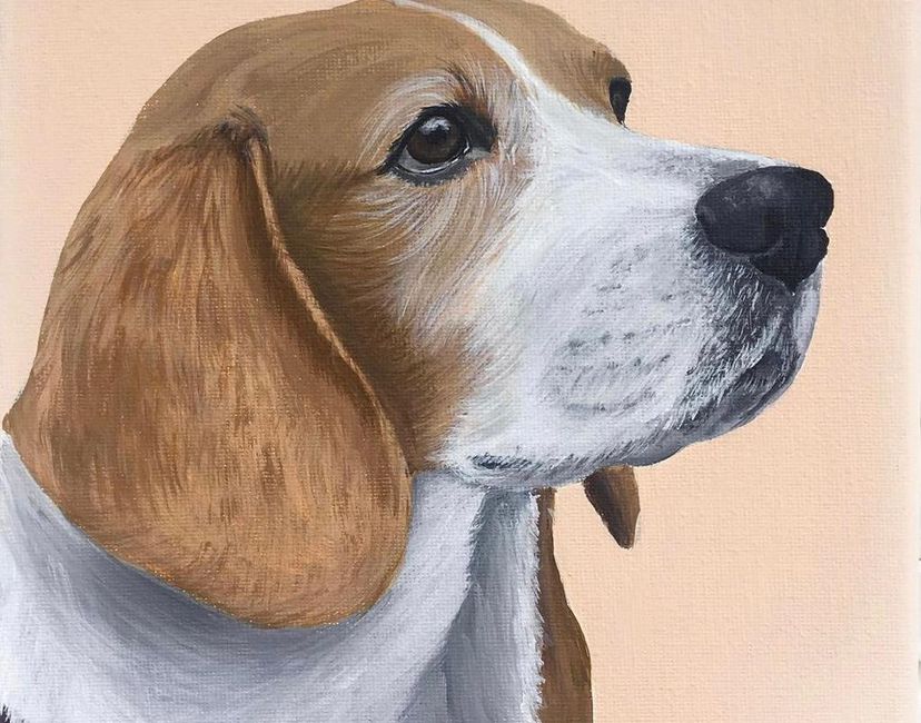 Nft Beagle 