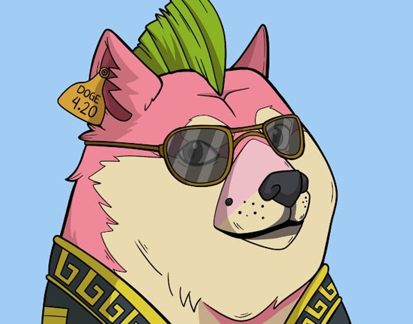 Nft Slumdoge