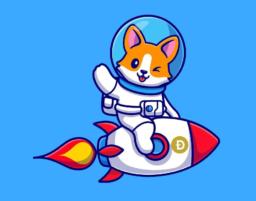 Nft Doge Rocket