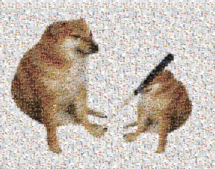 Nft Dogebonk meme mosaic